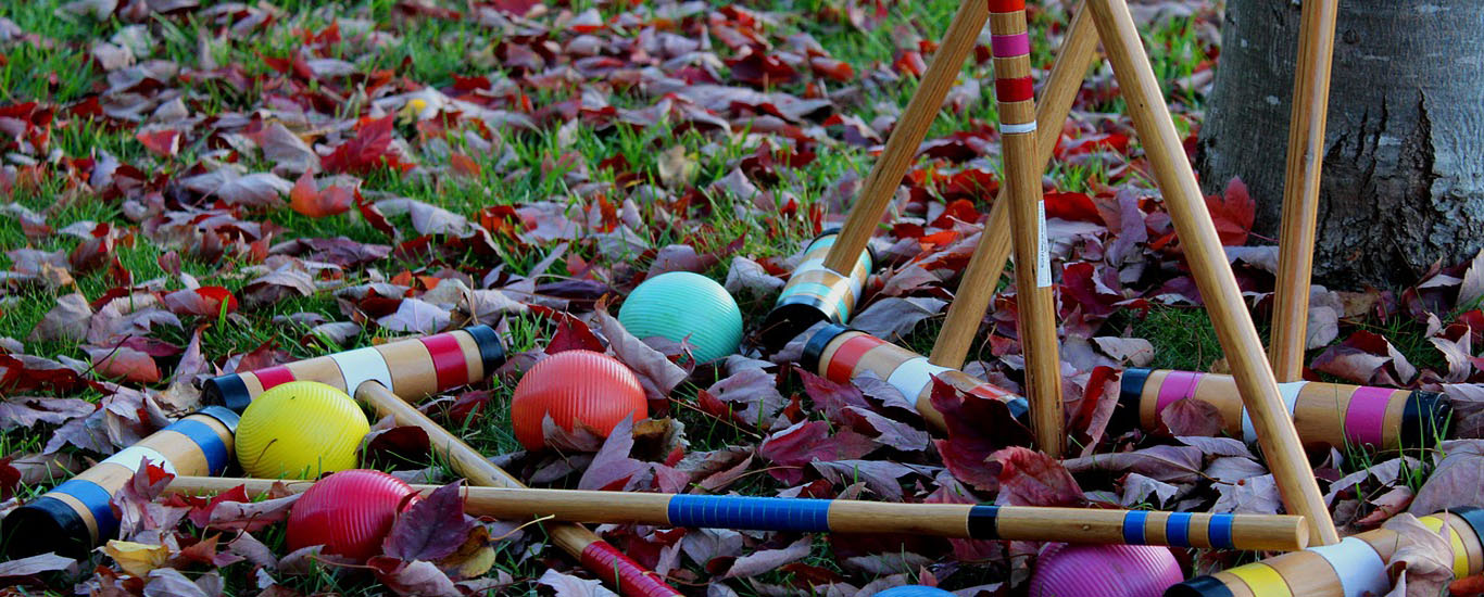 Croquet Game